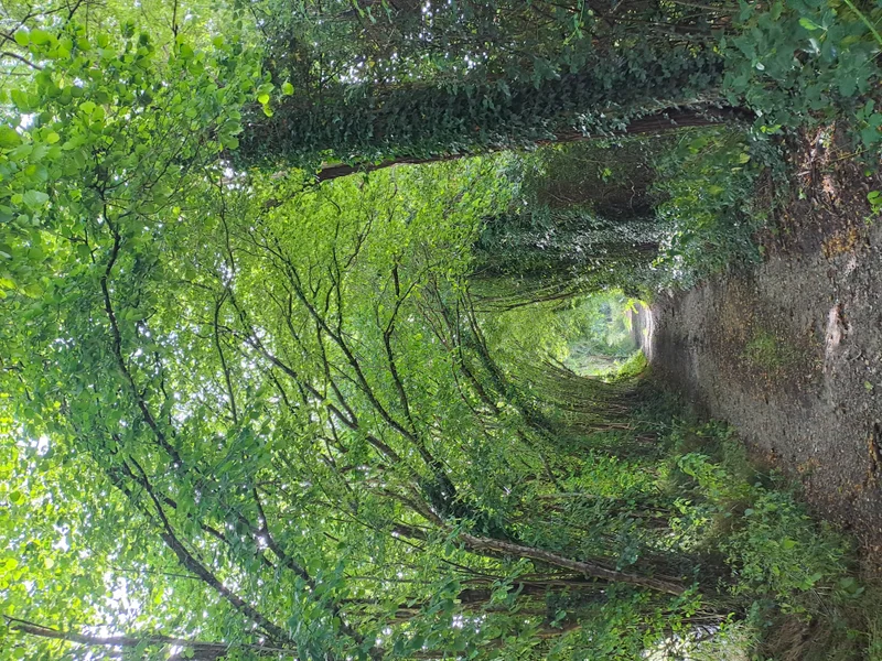 Randonnée Nobles Logis (Dancé) · Perche en Nocé