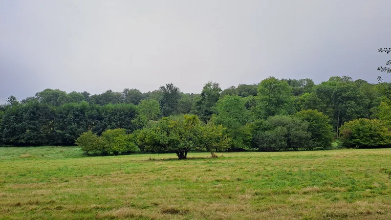 Randonnée Promenade le long de l'Yerre · La Bazoche-Gouet