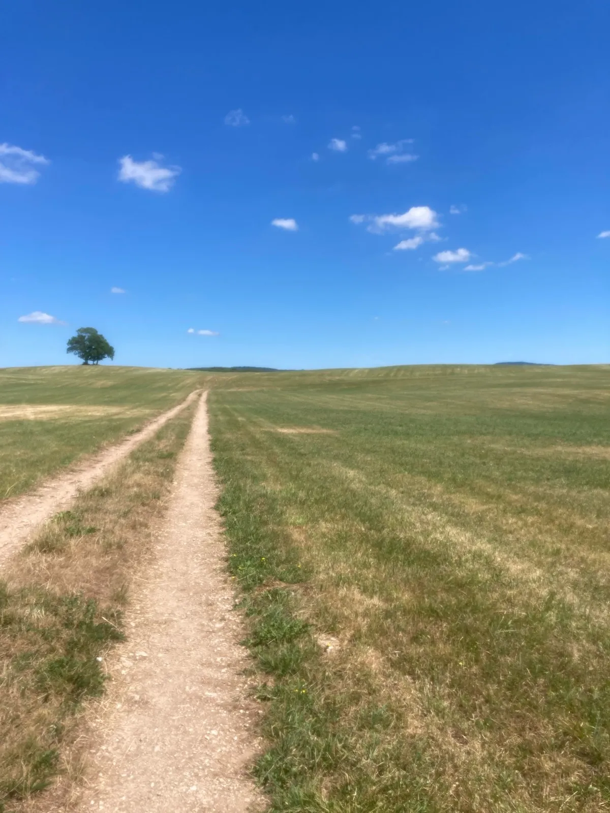 Randonnée Entre les lacs de Chambly et de Chalain · Doucier
