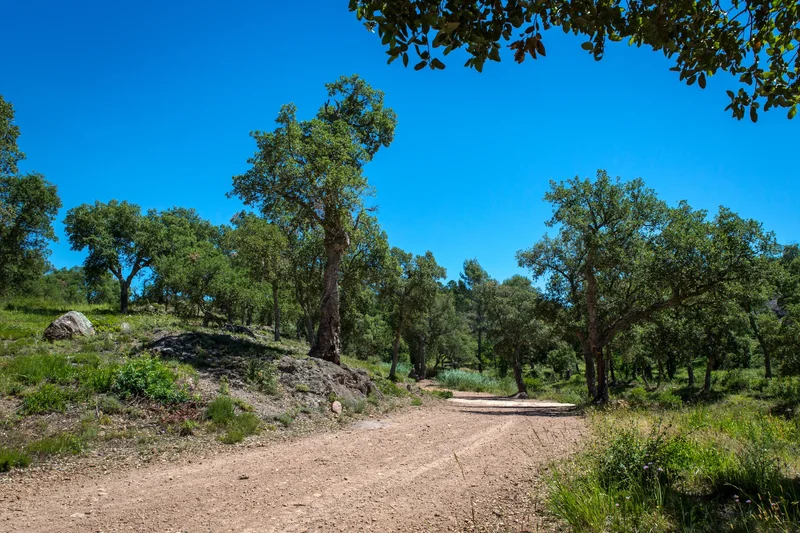 Randonnée Boucle du Défens · Puget-sur-Argens