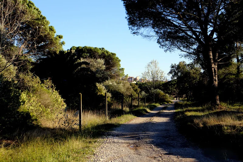 Randonnée Chemin de Compostelle · Puget-sur-Argens