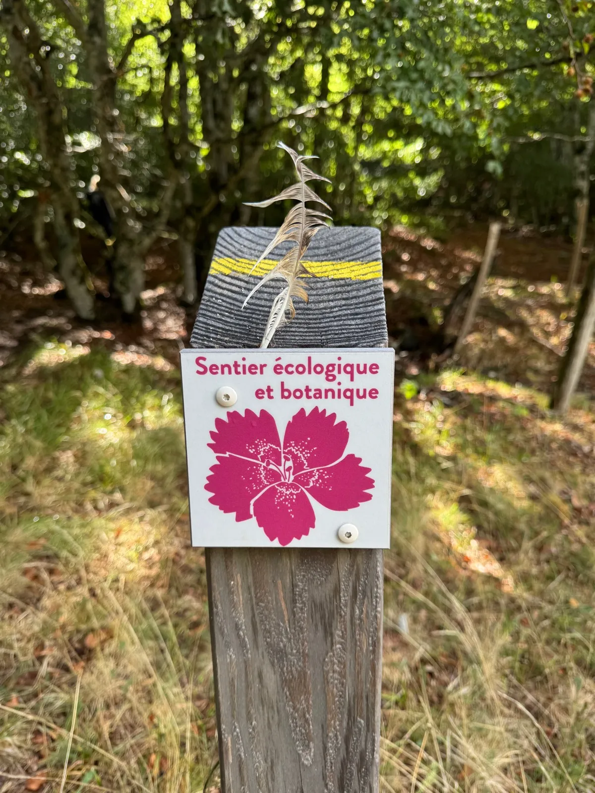 Randonnée Sentier Botanique de Laguiole. · Laguiole